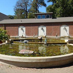 9/13/2020 - Garden of the Senses - Fountain