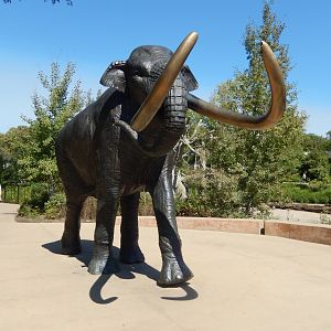 9/13/2020 - Columbian Mammoth Statue