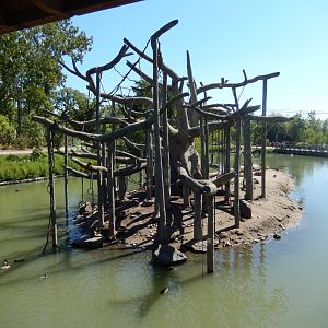 9/13/2020 - Spider Monkey Island