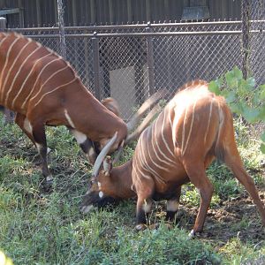 9/13/2020 - Hill Advantage?