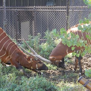 9/13/2020 - Head-to-Head!