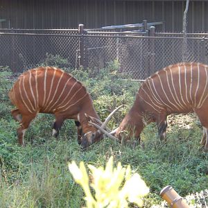 9/13/2020 - Evenly Matched