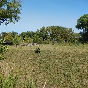 9/13/2020 - Sable Antelope Habitat - Left Side