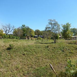 9/13/2020 - Sable Antelope Habitat - Right Side