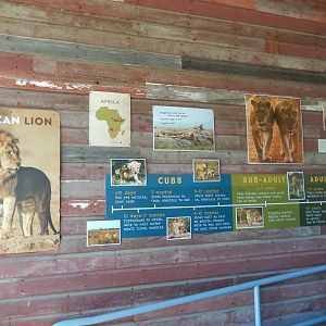 9/13/2020 - Lion Lifestage Signage