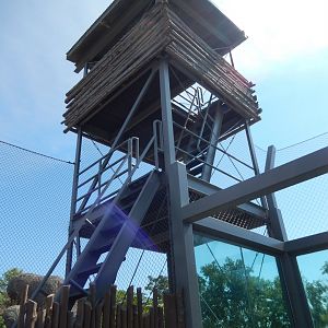 9/13/2020 - Lookout Tower
