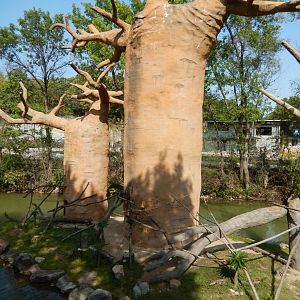 9/13/2020 - Lemur Island