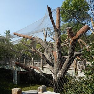 9/13/2020 - Walkthrough Lemur Habitat