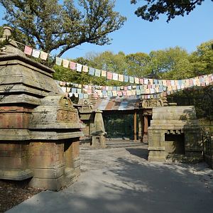 9/13/2020 - Amur Tiger Viewing Plaza