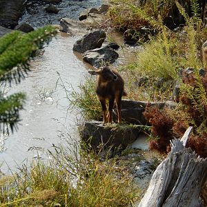 9/13/2020 - A Day By the Stream