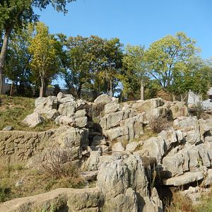 9/13/2020 - Sichuan Takin & Central Chinese Goral Habitat - Lower Viewing Area
