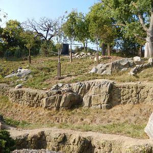 9/13/2020 - Sichuan Takin & Central Chinese Goral Habitat - Lower Viewing Area