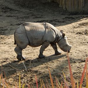 9/13/2020 - Marshall