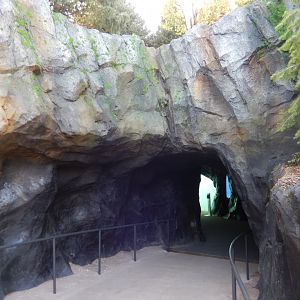 9/13/2020 - Owen Sea Lion Shores - Ramp to Underwater Viewing Area