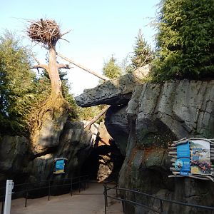 9/13/2020 - Owen Sea Lion Shores View