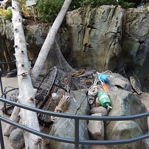 9/13/2020 - Washed Up Debris