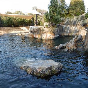 9/13/2020 - California Sea Lion Habitat