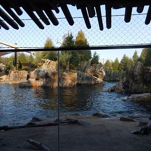 9/13/2020 - California Sea Lion Habitat