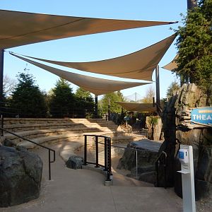 9/13/2020 - Sea Lion Amphitheater