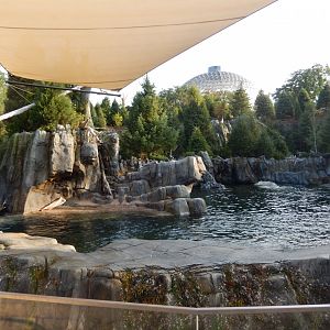 9/13/2020 - California Sea Lion Habitat