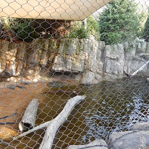 9/13/2020 - Pupping Beach