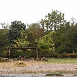 White Rhino enclosure