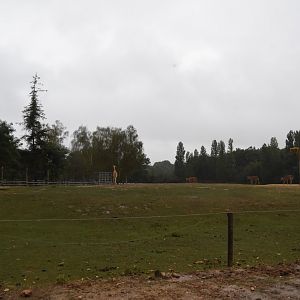 Giraffe enclosure