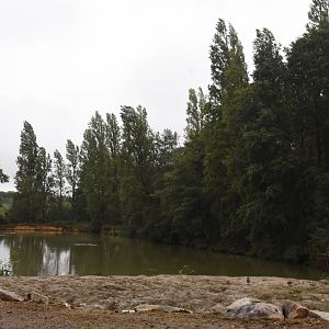 Common Hippo enclosure