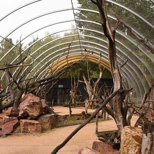 Australian walkthrough aviary