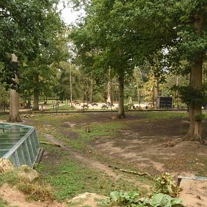 Spotted Hyena enclosure