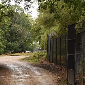 If you want to walk through the safari exhibit....
