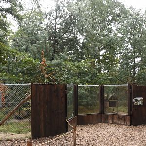 Raccoon enclosure