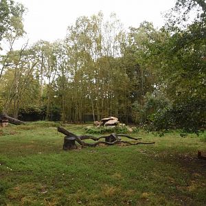 Siberian Tiger enclosure