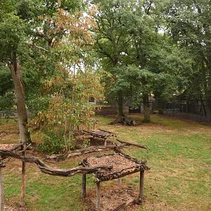 Snow Leopard enclosure