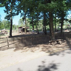 Domestic Goat Exhibit