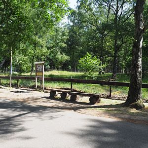 Alpine Marmot Exhibit