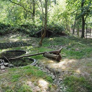 European Wildcat Exhibit