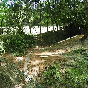 European Wildcat Exhibit
