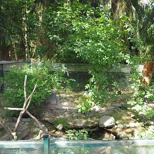 European Mink Exhibit