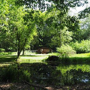 European White Stork Exhibit