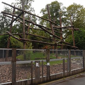 Red Panda & Reeves Muntjac enclosure