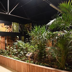 Small mammal / reptile house