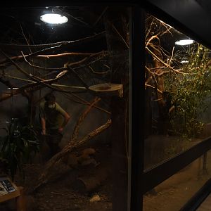 Small mammal / reptile house