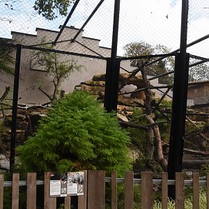 Binturong & Small-clawed Otter enclosure