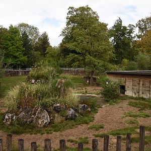 Brazilian Tapir & Maned Wolf enclosure