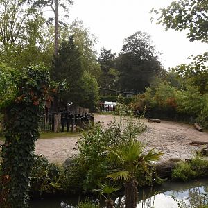 White Rhino enclosure - right side