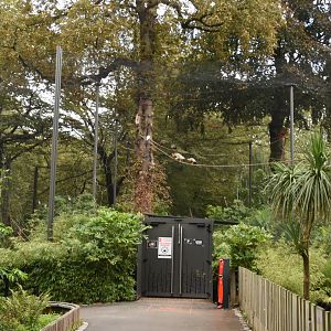 S-American walkthrough aviary