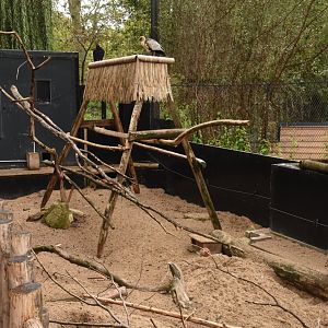Prairie Dog enclosure in aviary