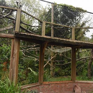 Ring-tailed & Ruffed Lemur enclosure