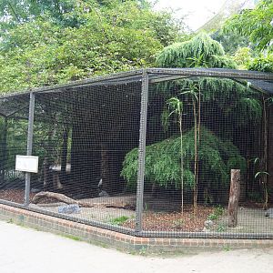 Snowy owl aviary, 2020-09-02